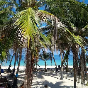 https://zippys-sea-view-apartments.sanandreshotels.com